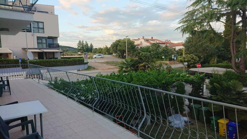 Near - Marica *