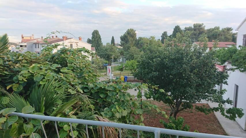 Near - Marica * Rovinj